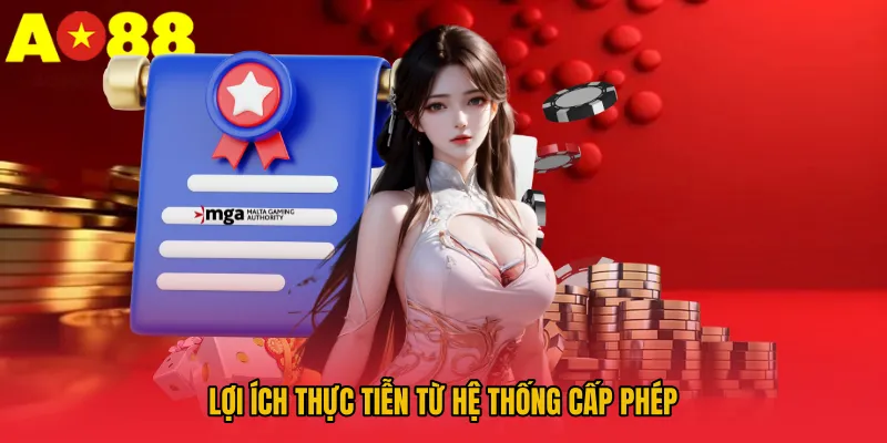Lợi ích thực tiễn từ hệ thống cấp phép